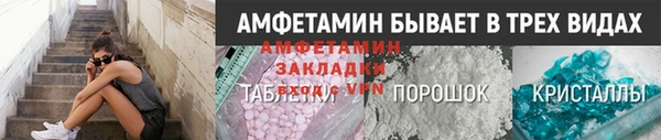прущие грибы Усолье-Сибирское
