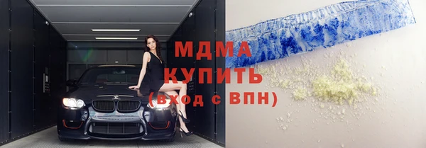 прущие грибы Усолье-Сибирское