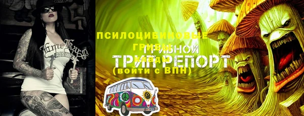 прущие грибы Усолье-Сибирское