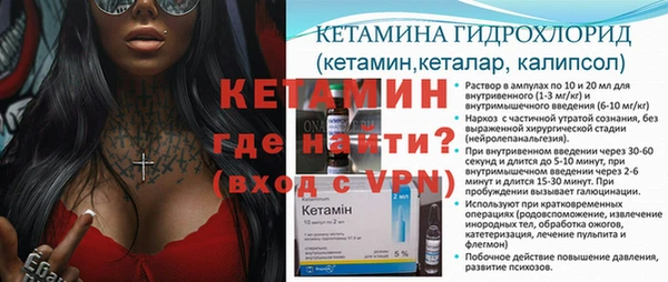 прущие грибы Усолье-Сибирское