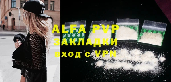 прущие грибы Усолье-Сибирское